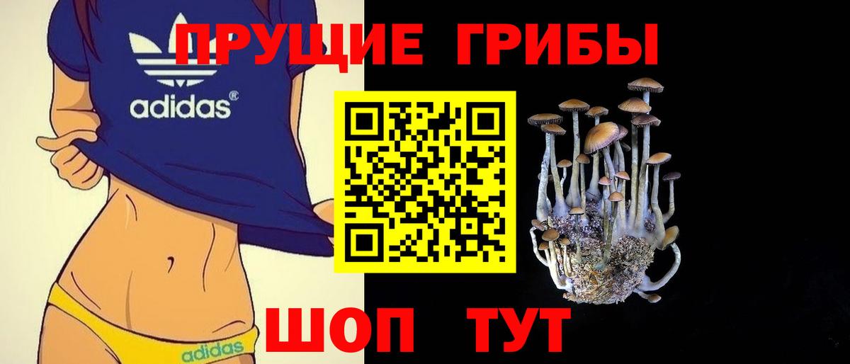 Псилоцибиновые грибы Psilocybe  купить наркотик  Калининград  Вход с VPN 